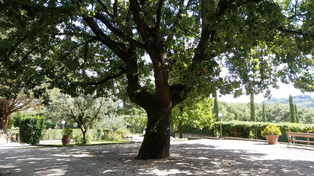 La Locanda Della Chiocciola Orte Exterior photo